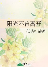 《陽光不曾離開》