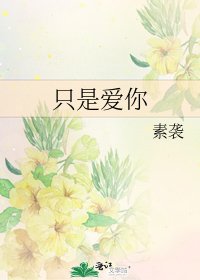 只是爱你