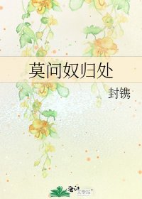《莫问奴归处》
