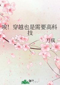 《唉!穿越也是需要高科技》