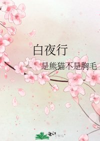 白夜行