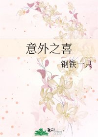 《意外之喜》