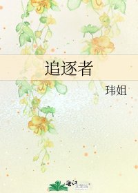 《追逐者》