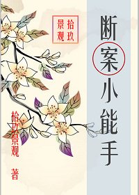 断案小能手
