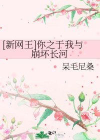 [新網王]你之於我與崩壞長河