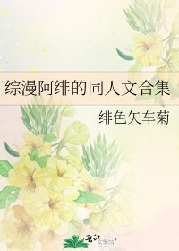 綜漫阿緋的同人文合集