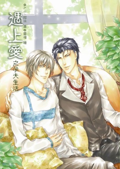 《遇上爱之孕夫生活》