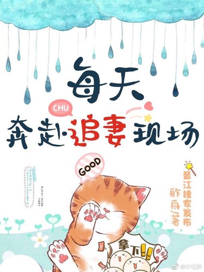 每天奔赴追妻现场