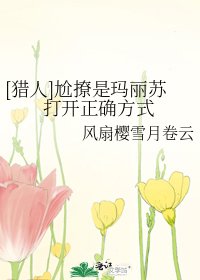 [猎人]尬撩是玛丽苏打开正确方式