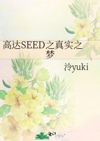 高达SEED之真实之梦