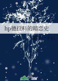 《hp德拉科的暗戀史》