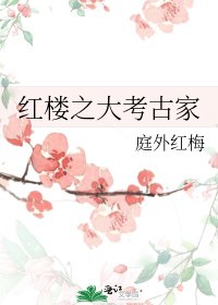 《紅樓之大考古家》