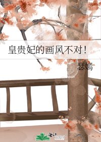 《皇贵妃的画风不对!》