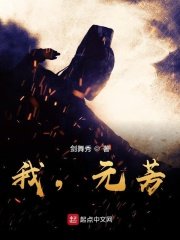 我,元芳?
