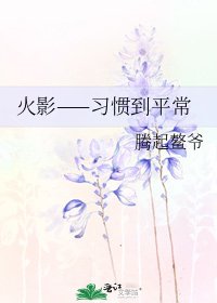 《火影——習慣到平常》