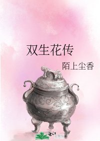 《双生花传》