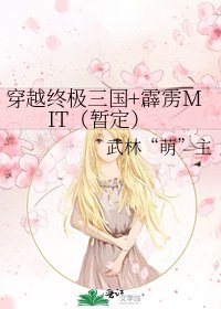 穿越終極三國+霹靂MIT(暫定)