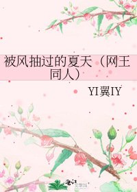 《被風抽過的夏天(網王同人)》