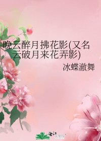 晚雲醉月拂花影(又名雲破月來花弄影)