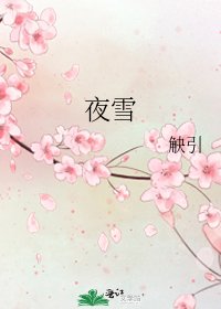 夜雪