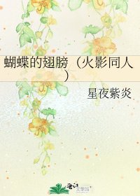 蝴蝶的翅膀(火影同人)