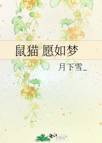 鼠猫 愿如梦
