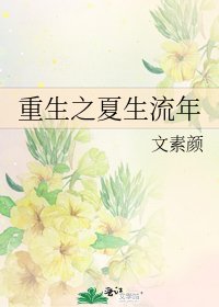 重生之夏生流年