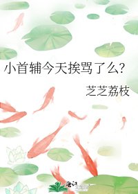 《小首輔今天捱罵了麼?》