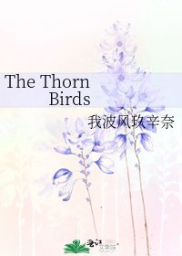 《The Thorn Birds》