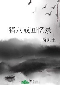 猪八戒回忆录
