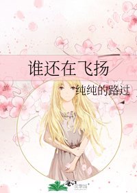 《谁还在飞扬》