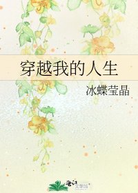 穿越我的人生