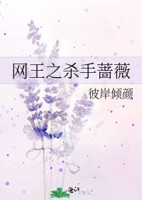 網王之殺手薔薇