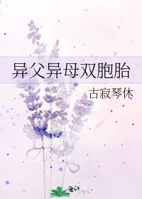 《異父異母雙胞胎》