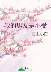《我的男友是小受》