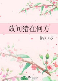 《敢問豬在何方》