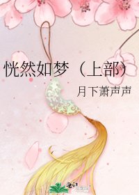 《恍然如夢(上部)》