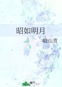 《昭如明月》