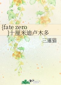 《{fate zero}十釐米迪盧木多》