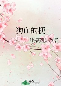 狗血的梗