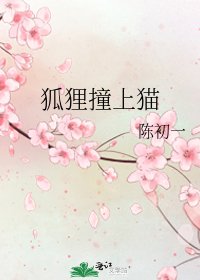 《狐狸撞上貓》