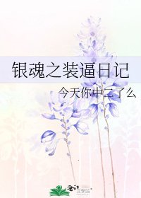 《銀魂之裝逼日記》