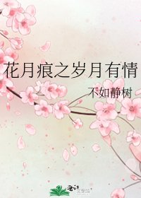 《花月痕之歲月有情》