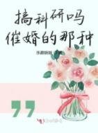 《搞科研嗎催婚的那種》