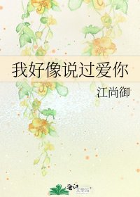 我好像說過愛你
