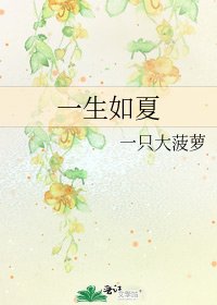 一生如夏