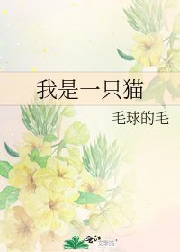 我是一只猫