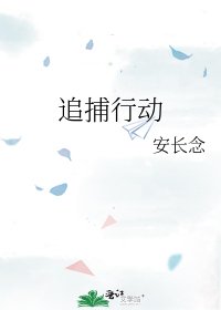 《追捕行動》