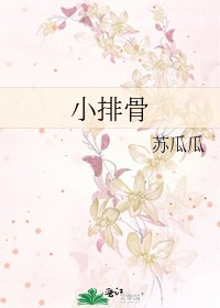 小排骨