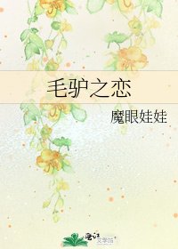 毛驴之恋
